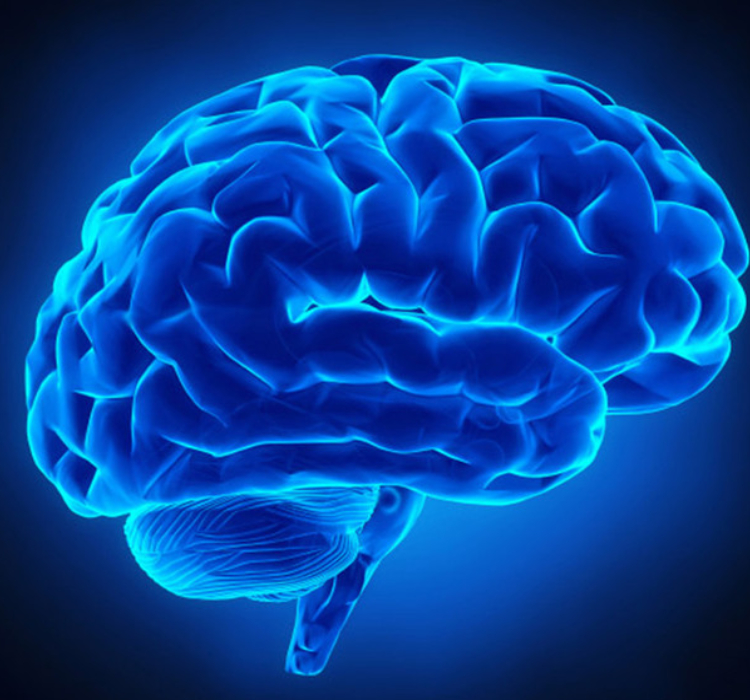 Neurochirurgia